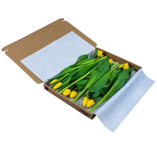 Tulpen in doosje - Afbeelding 5